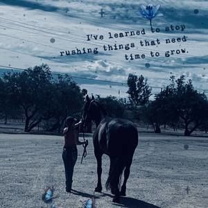 Meet your Posher, Laila